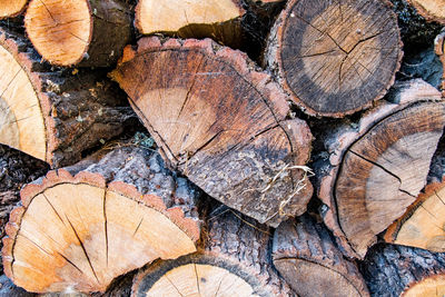 timber