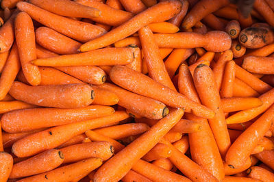 Fresh organic carrot from farm close up from different angle