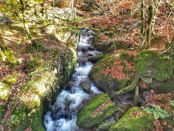 Scenic view of waterfall in forest during autumn