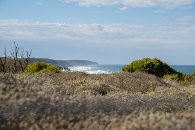 Scenic view of beach against sky