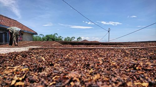 Surface level of railroad track against sky