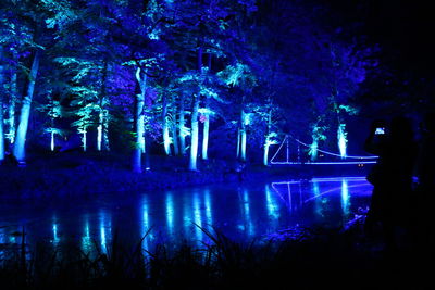 Trees at night