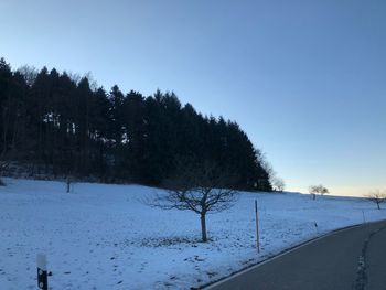 Trees on snow covered landscape against clear sky