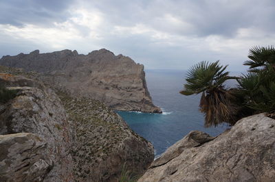 Rock formations at seaside