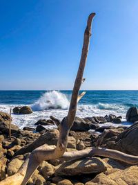 Scenic view of driftwood on beach against sky