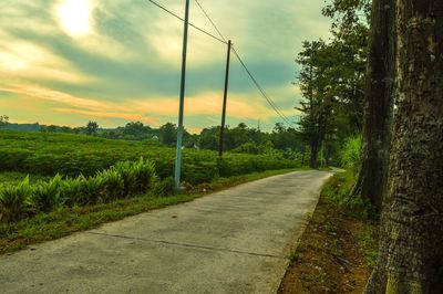 Road amidst trees against sky