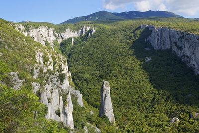 Vela draga canyon and rocks in ucka nature park