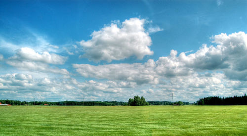 Scenic view of field against sky