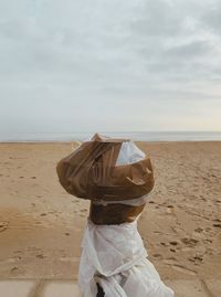 Rear view of person on beach against sky