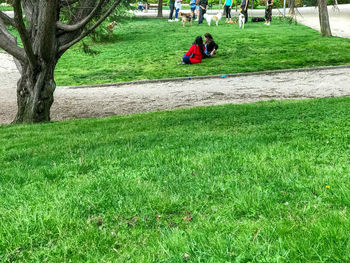 People sitting on field in park
