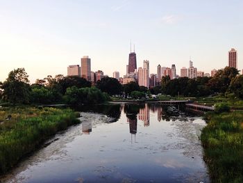 Reflection of trees in river