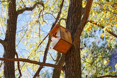 Low angle view of hanging from tree