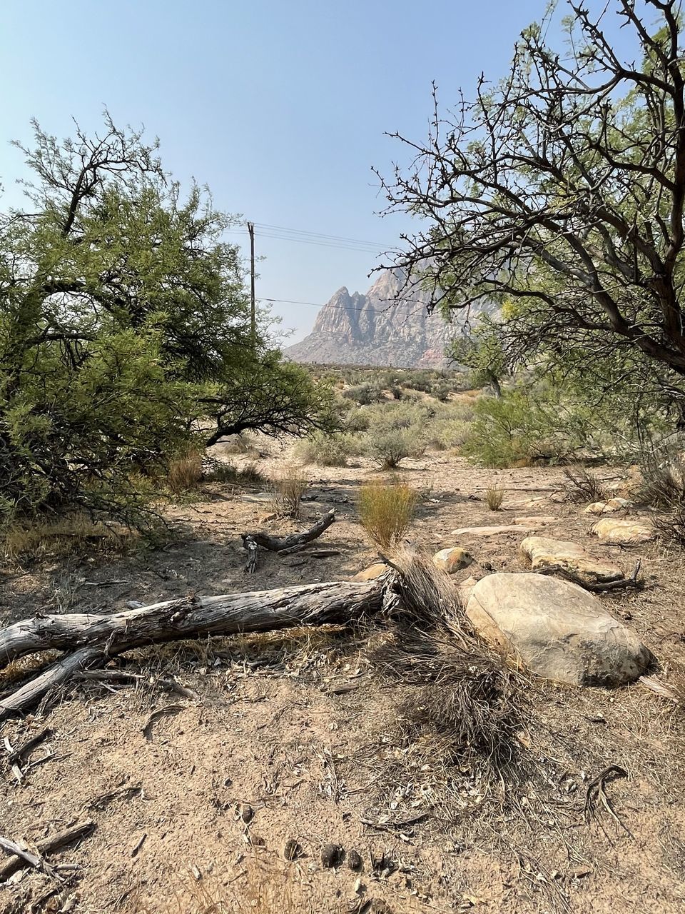 SCENIC VIEW OF LANDSCAPE