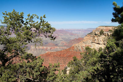 View of trees on landscape against sky