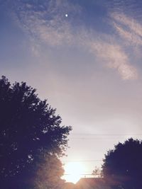 Low angle view of silhouette trees against sky