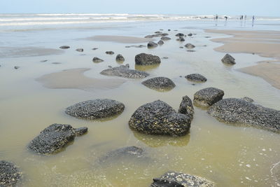 Pebbles on beach against sky