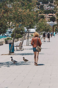 Rear view full length of woman walking by mallard ducks on footpath