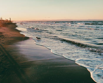 Scenic view of beach against clear sky during sunset