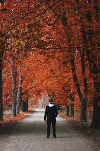 Rear view of man walking on road during autumn