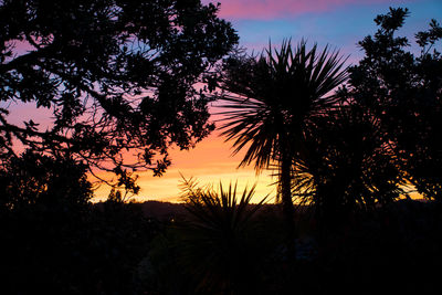 Low angle view of silhouette trees against sky at sunset