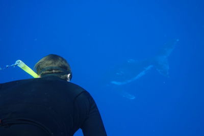 Rear view of man swimming in sea