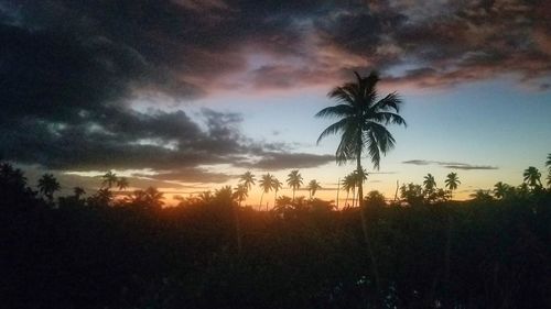 Silhouette palm trees against sky during sunset