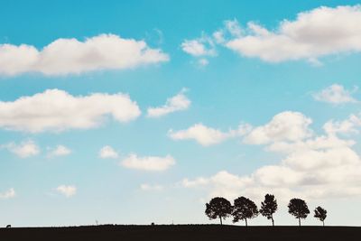 Low angle view of trees on field against sky