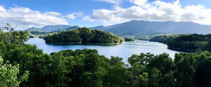 Scenic view of lake in forest against sky