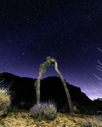 Scenic view of field against sky at night