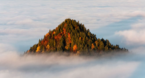 Autumn trees on mountain against sky