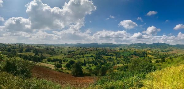 Scenic view of agricultural field against sky