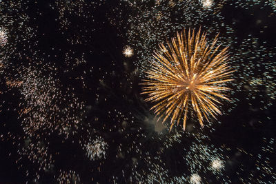 Low angle view of firework display at night