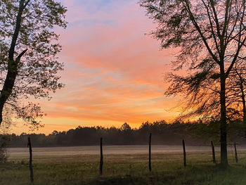 Scenic view of field against sky during sunset