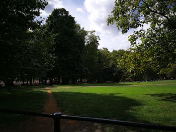 Trees in park against sky