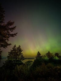 Scenic view of landscape against sky at night