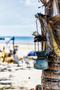 Old lantern hung at a coconut tree by the beach.