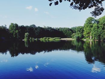 Scenic view of lake in forest against sky