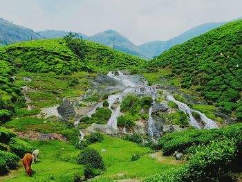 Scenic view of green landscape against sky