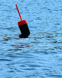 High angle view of red floating on water