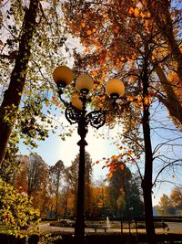 Low angle view of trees against sky during autumn