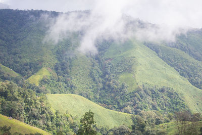 Scenic view of landscape