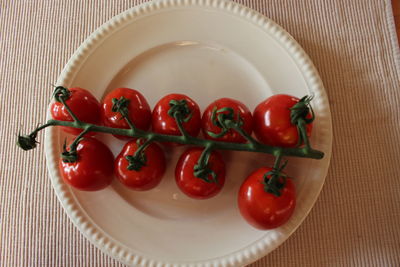 High angle view of tomatoes in bowl on table