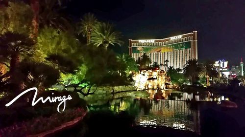 Reflection of illuminated trees in water at night