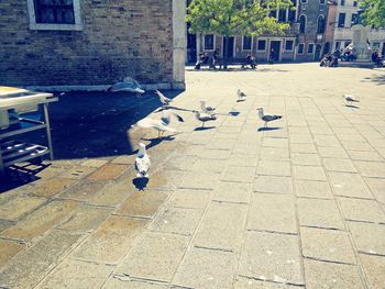 Buildings in the background