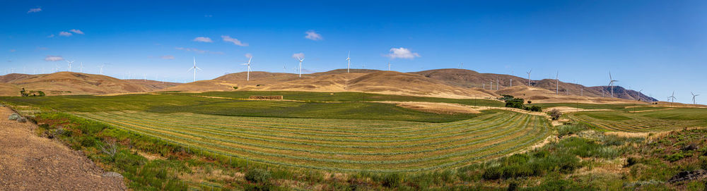 Scenic view of agricultural field against sky