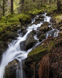 Stream flowing through rocks in forest