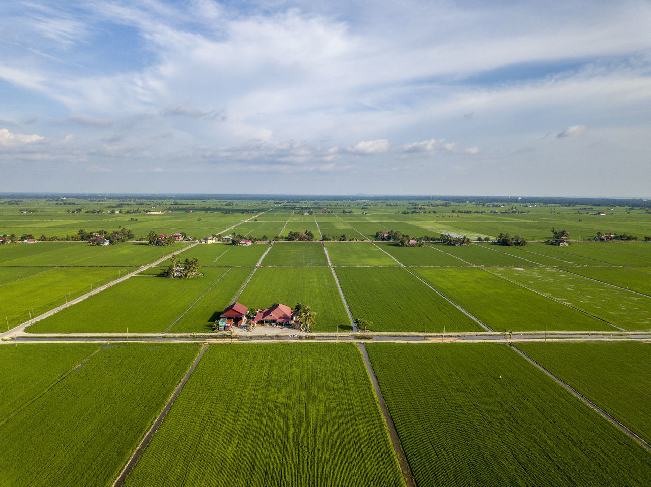 SCENIC VIEW OF FIELD AND GREEN LANDSCAPE AGAINST SKY