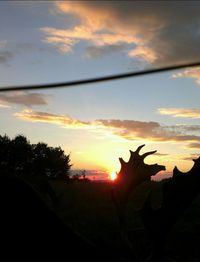 Scenic view of sunset sky