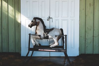 Dog sitting on chair at home