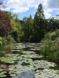 Water flowing in lake against sky